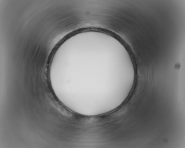 X0000112390879200909101408