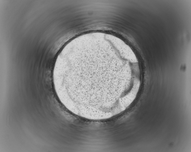 X0000112390881200909101408