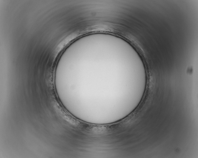 X0000112390882200909101408