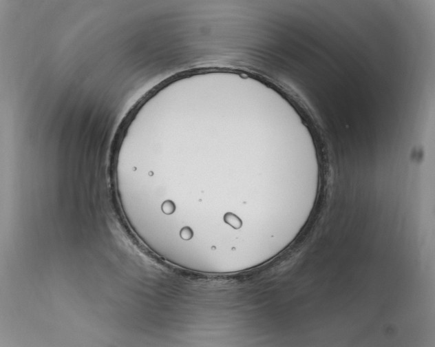 X0000112390884200909101408