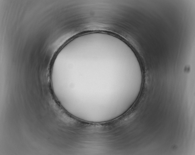 X0000112390885200909101408