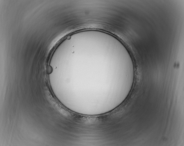 X0000112390886200909101408