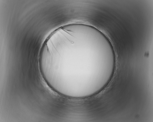 X0000112390888200909101408