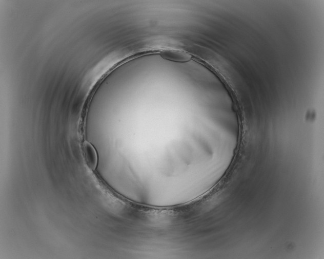 X0000112390893200909101408