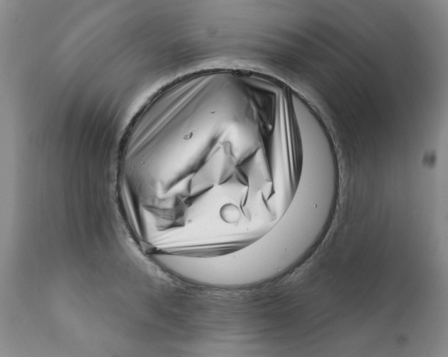 X0000112390896200909101408