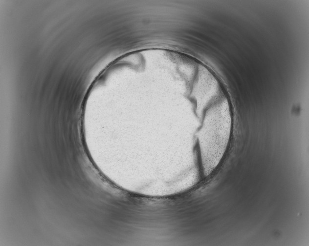 X0000112390899200909101408