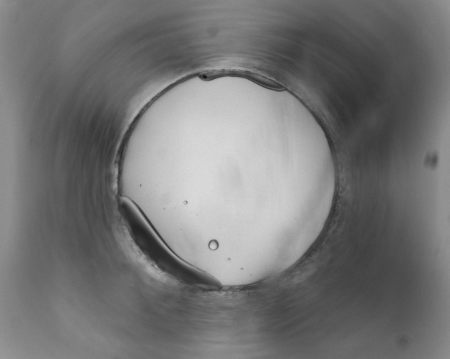 X0000112390900200909101408