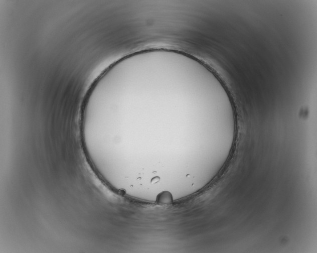 X0000112390902200909101408