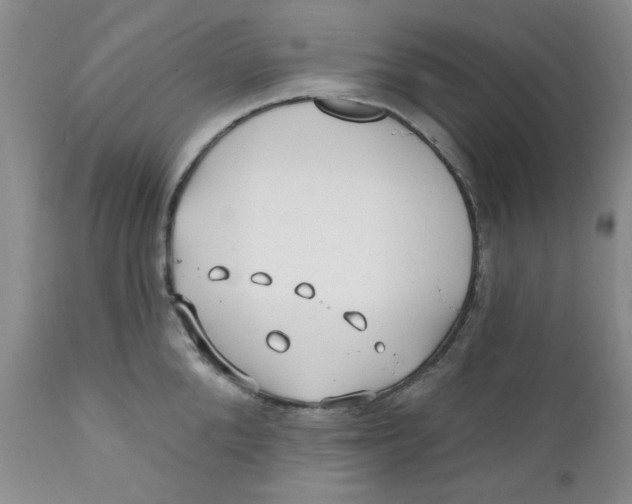 X0000112390904200909101408