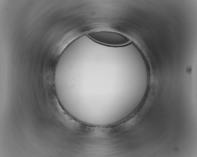 X0000112390905200909101408