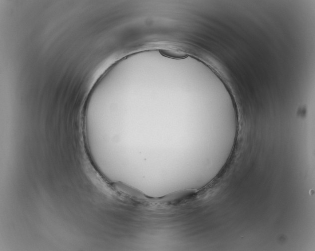 X0000112390907200909101408