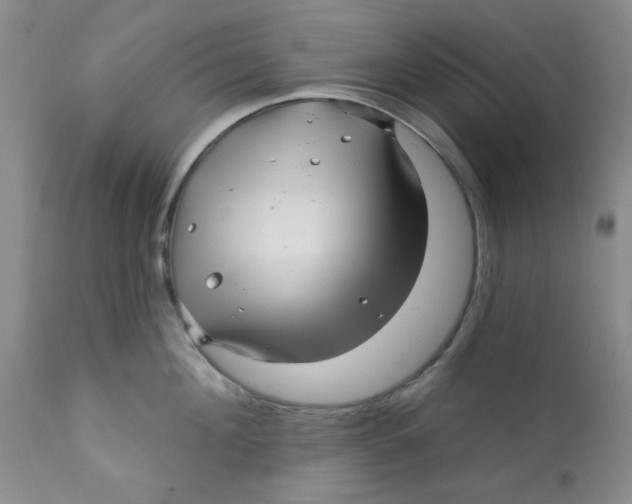 X0000112390908200909101408