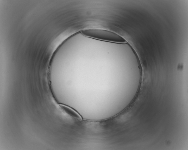 X0000112390909200909101408