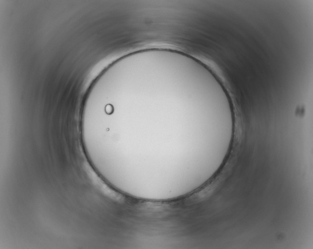 X0000112390910200909101408