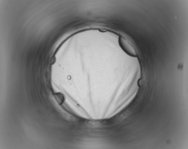 X0000112390911200909101408