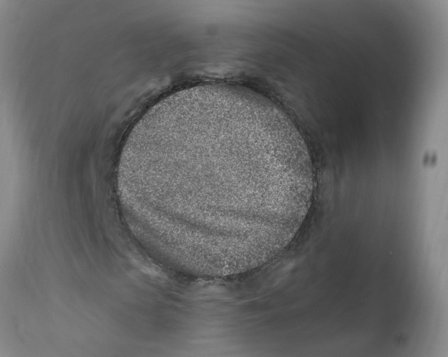 X0000112390913200909101407