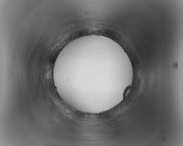 X0000112390914200909101407