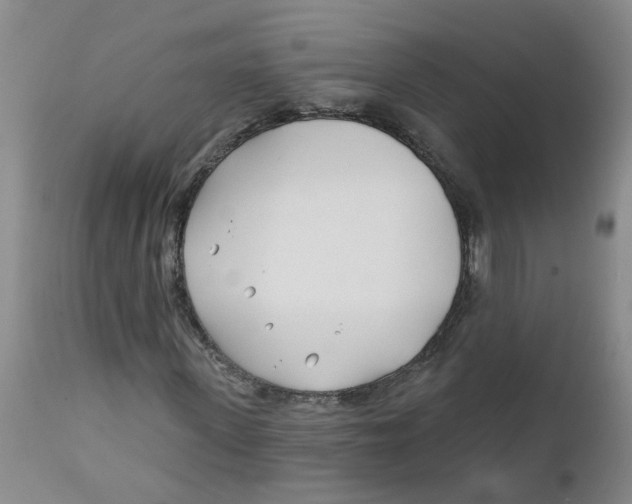 X0000112390915200909101407