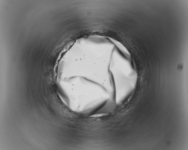 X0000112390916200909101407
