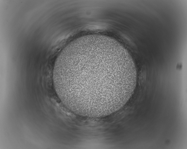 X0000112390917200909101407