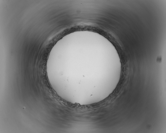 X0000112390919200909101407