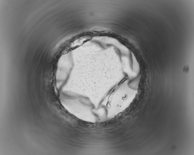 X0000112390920200909101407