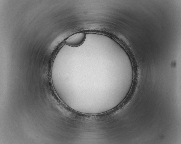 X0000112390922200909101407