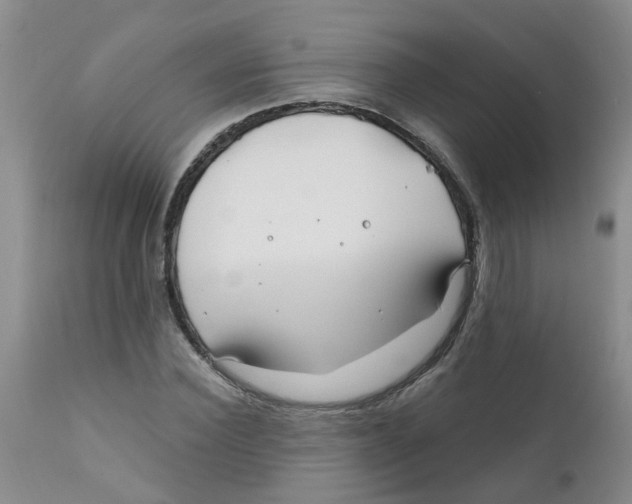 X0000112390924200909101407