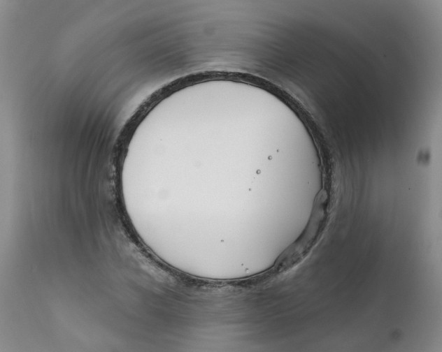 X0000112390926200909101407