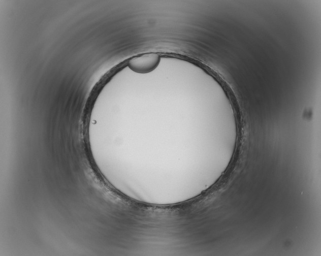 X0000112390928200909101407
