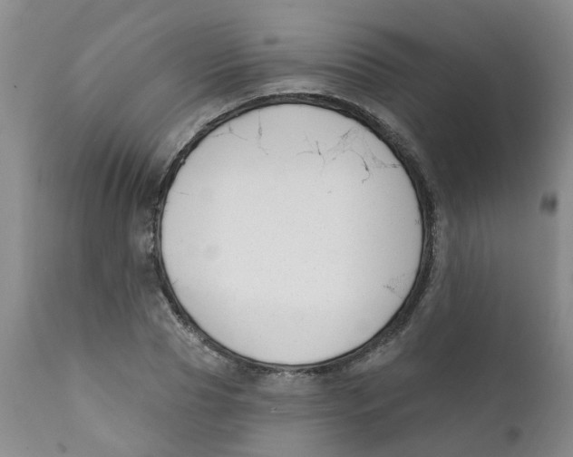 X0000112390929200909101407