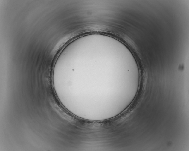 X0000112390930200909101407