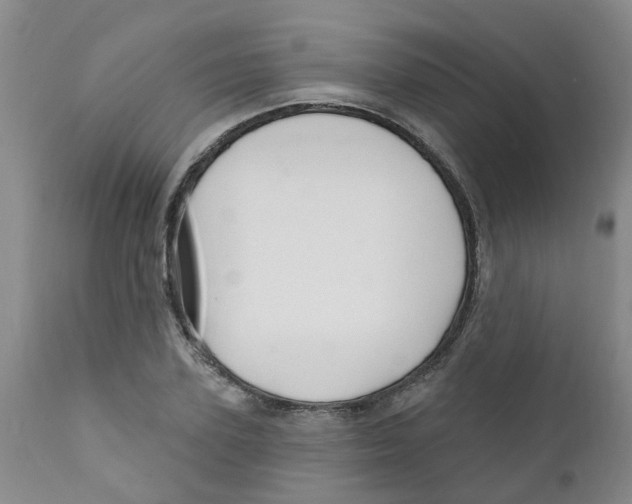 X0000112390931200909101407