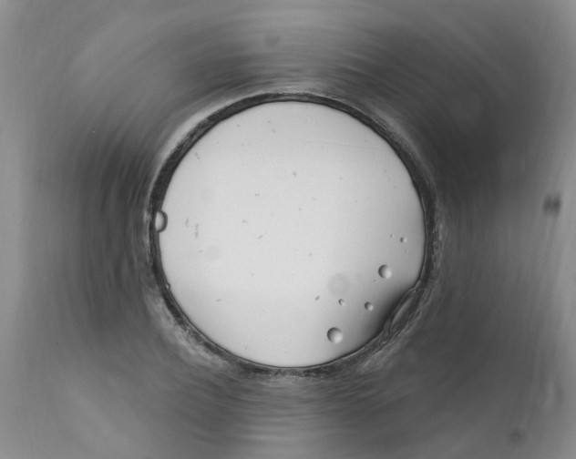 X0000112390932200909101407