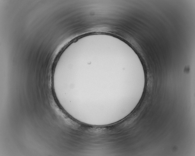 X0000112390939200909101407
