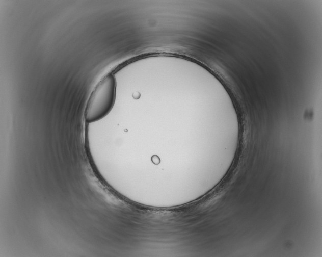 X0000112390940200909101407