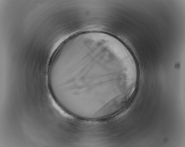 X0000112390941200909101407