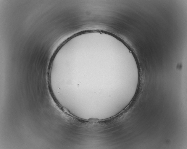 X0000112390943200909101407