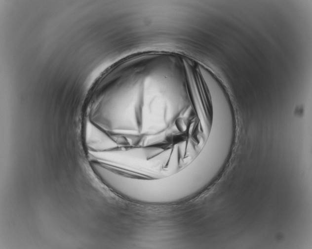X0000112390944200909101408