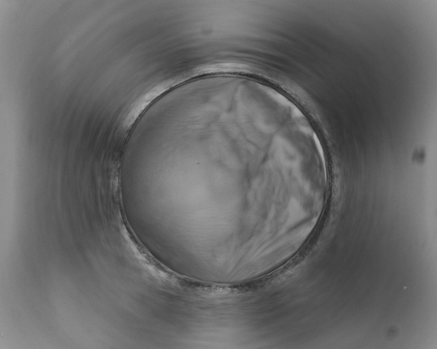 X0000112390945200909101408