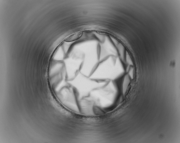 X0000112390946200909101408