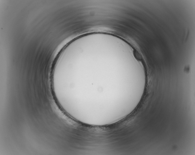 X0000112390947200909101408
