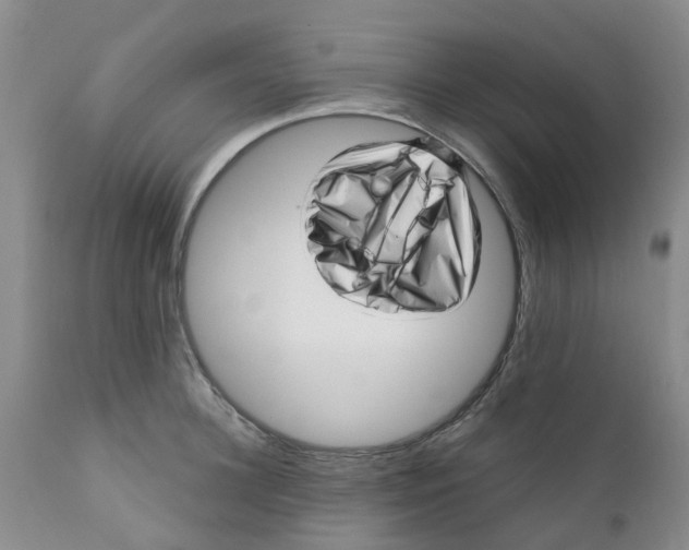 X0000112390948200909101408