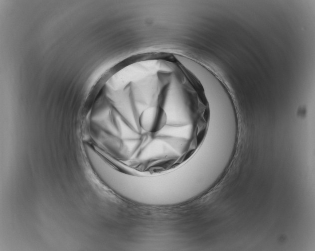 X0000112390952200909101408