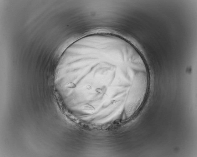 X0000112390953200909101408