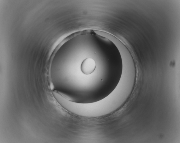 X0000112390956200909101408
