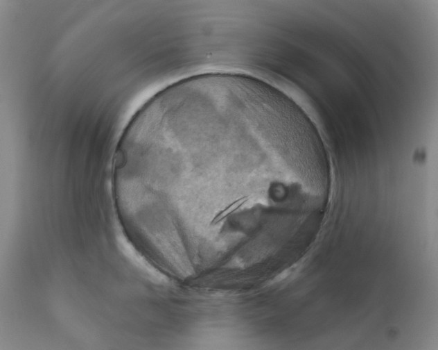 X0000112390958200909101408