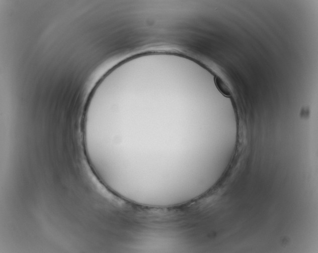 X0000112390959200909101408