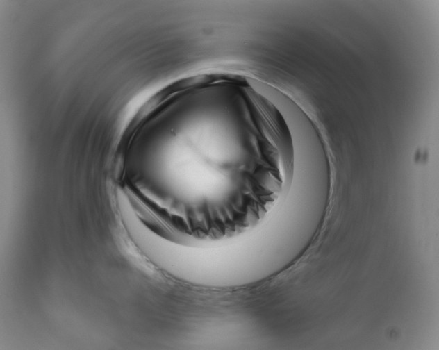 X0000112390960200909101408