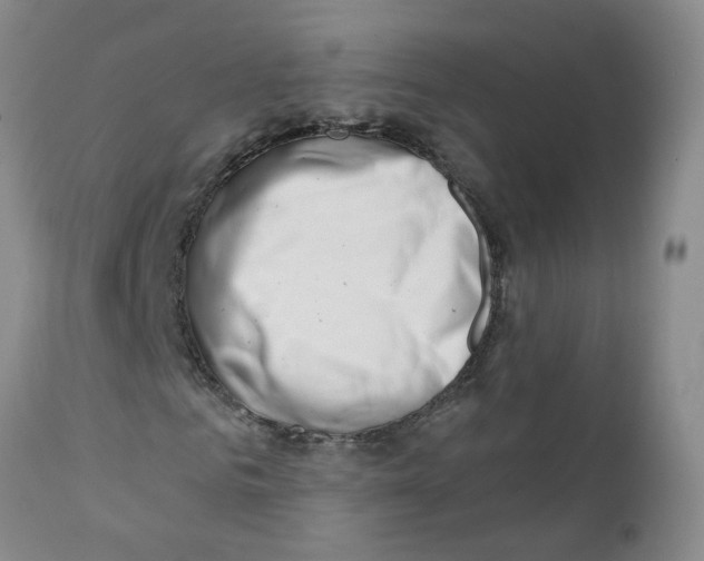 X0000112390961200909101407